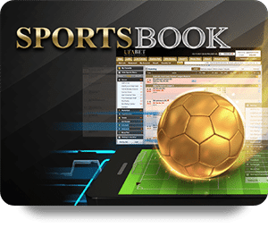 Thực Tế Nghiên Cứu Kèo Cao Thủ Trên 1xBet