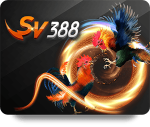 Ưu Đãi Đặc Biệt Khi Tham Gia Dafabet Casino Đẳng Cấp